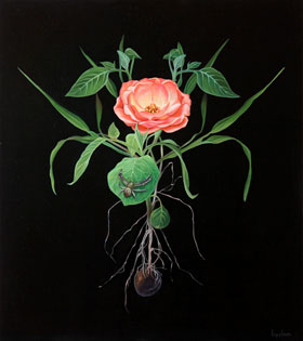 Sat March2nd Lebasse MelissaHaslam hybrid rose