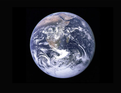 April 22, 2024: Happy Earth Day from LAArtParty