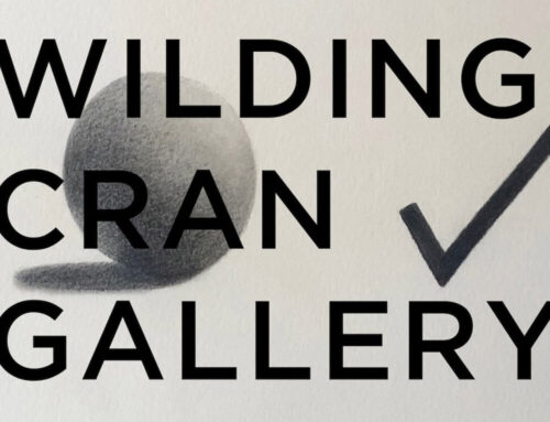 On View thru March 3, 2024: Wilding Cran Gallery Celebrates Ten Years
