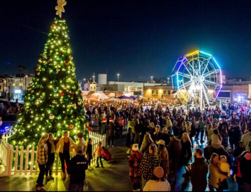 Sunday, November 23, 2025: Art Parties & Events