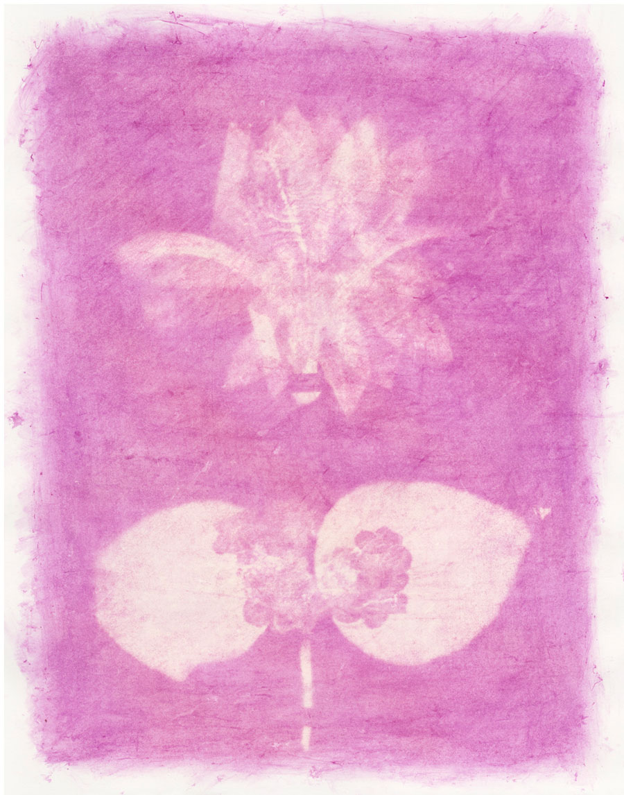 Amanda Marchand Leah Sobsey.