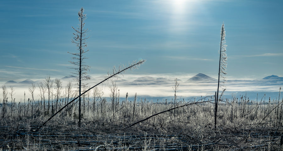 March 2026 dnj ArtMed